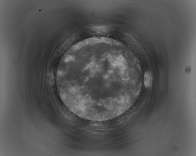 X0000092091395200710101051