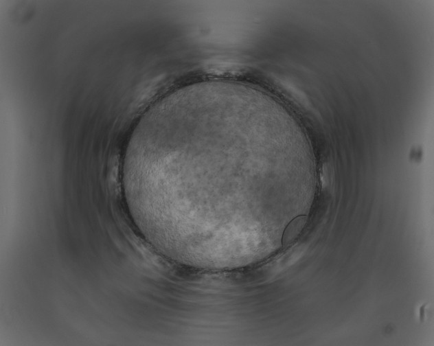 X0000092091396200710101051