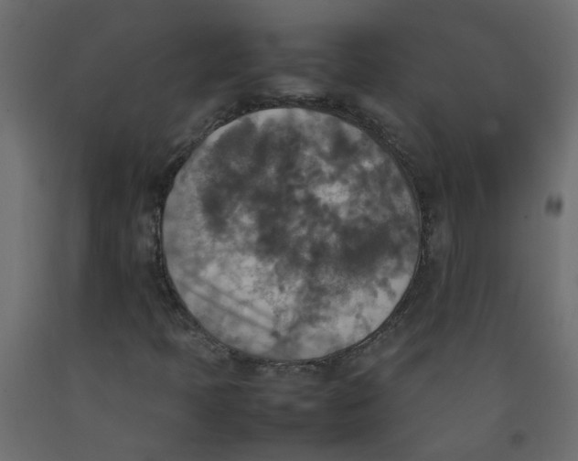 X0000092091397200710101051