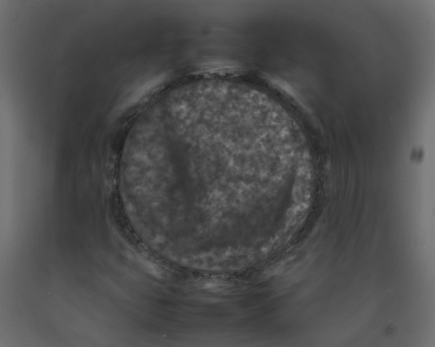 X0000092091399200710101051