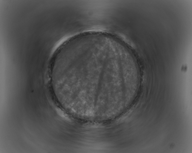 X0000092091400200710101051