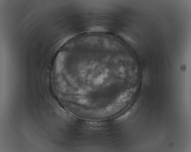 X0000092091401200710101051