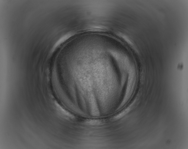 X0000092091402200710101051