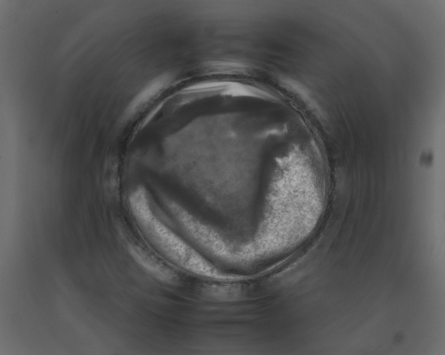 X0000092091403200710101051