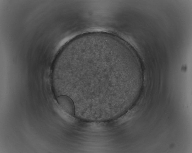 X0000092091404200710101051