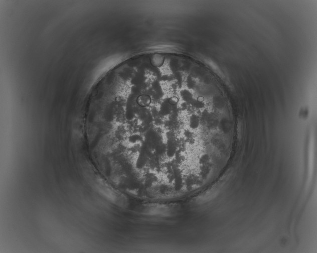 X0000092091405200710101051