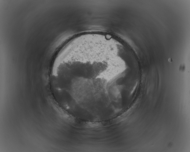 X0000092091407200710101051