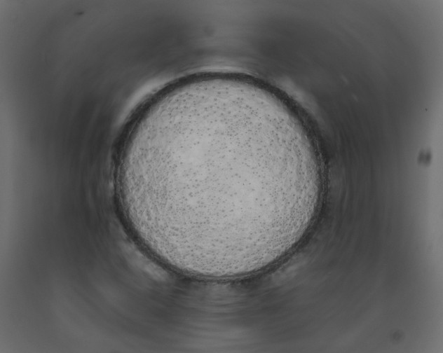 X0000092091408200710101051