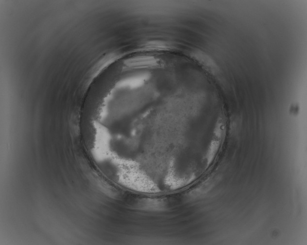 X0000092091409200710101051