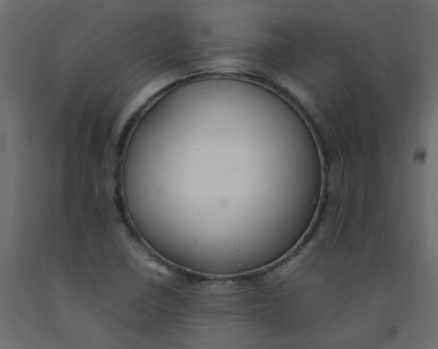 X0000092091410200710101051