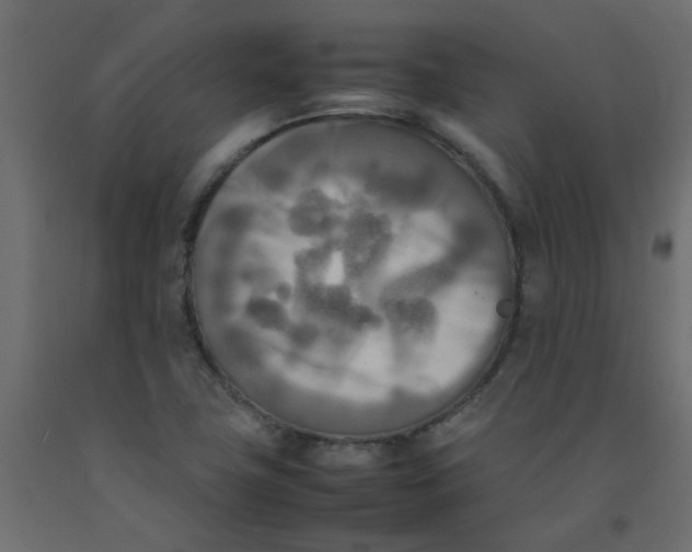 X0000092091411200710101051