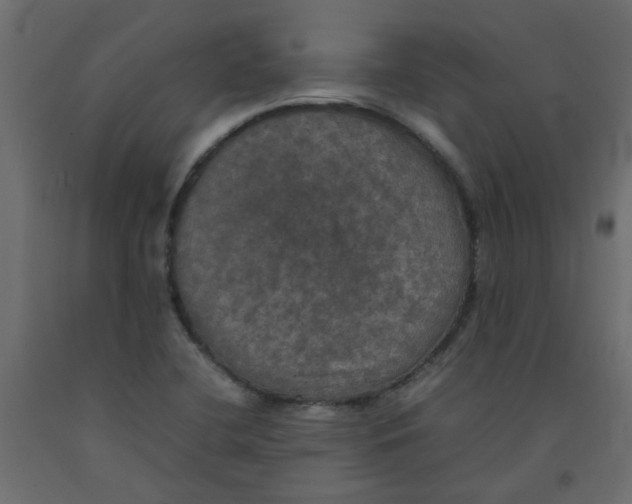 X0000092091412200710101051