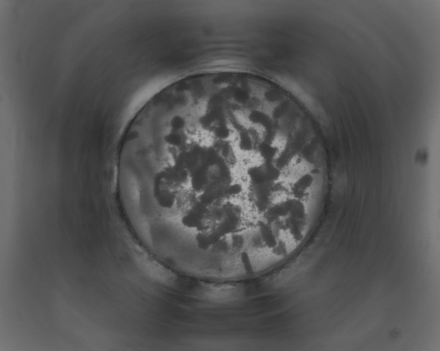 X0000092091413200710101051