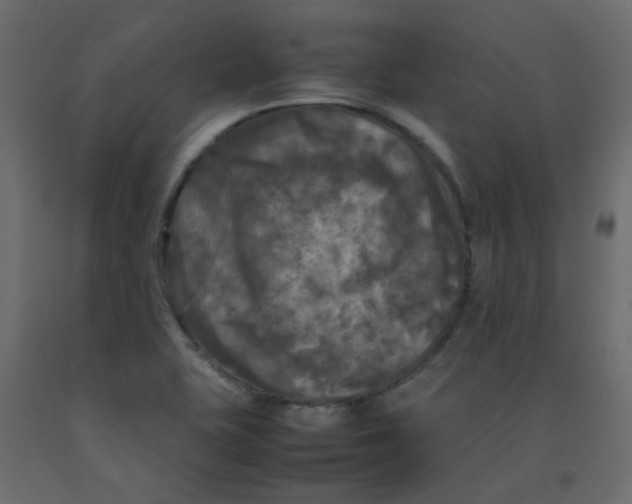 X0000092091415200710101051