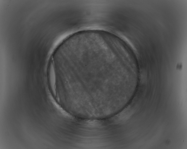 X0000092091416200710101051