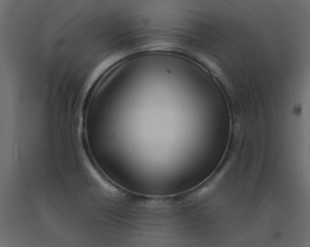 X0000092091418200710101051