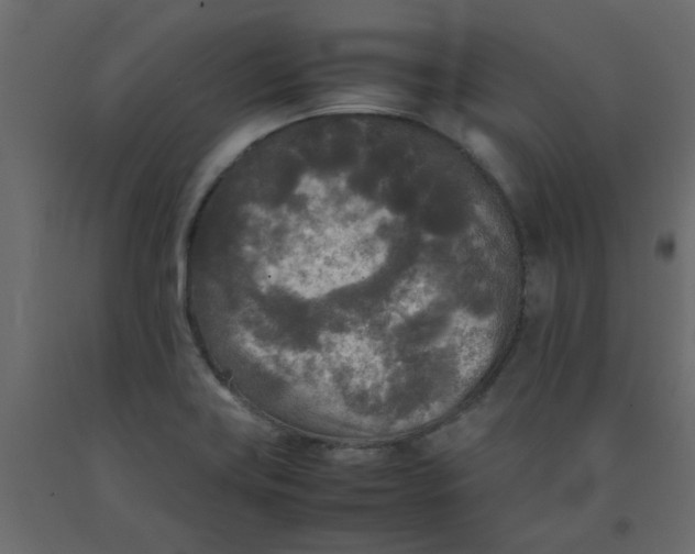 X0000092091419200710101051