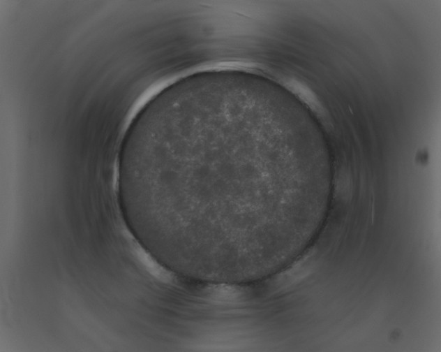 X0000092091420200710101051