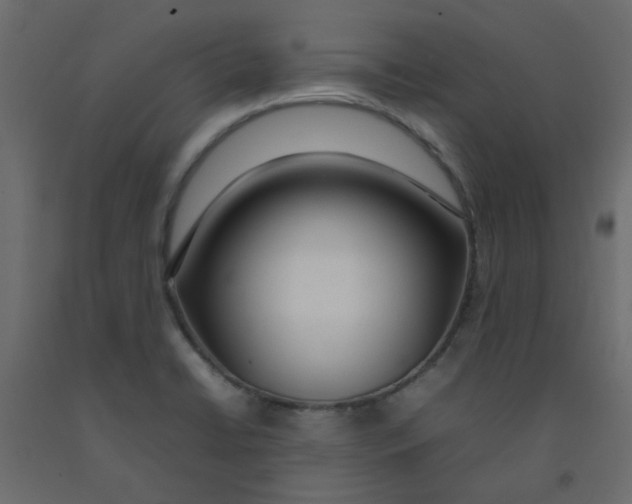 X0000092091422200710101051