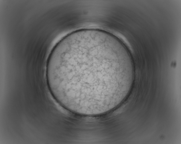 X0000092091424200710101051