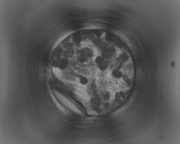 X0000092091425200710101051