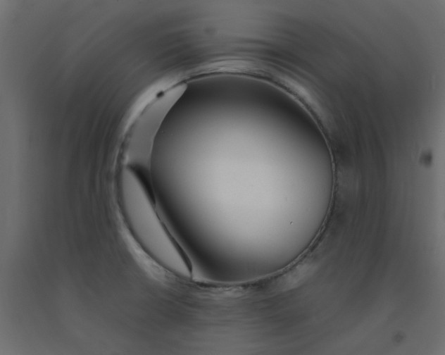 X0000092091426200710101051