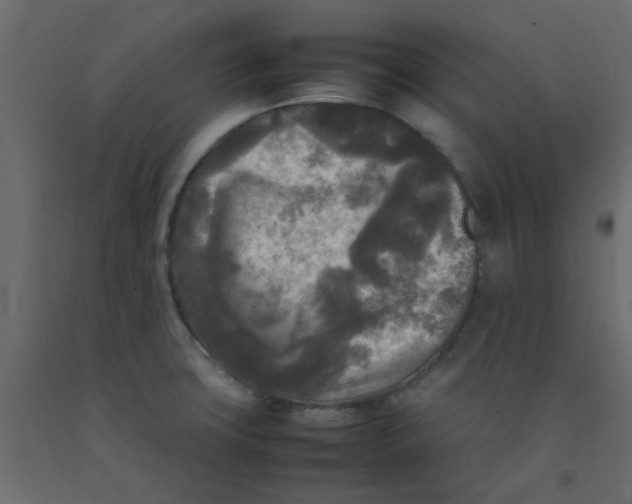 X0000092091427200710101052