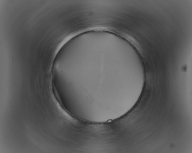 X0000092091428200710101052