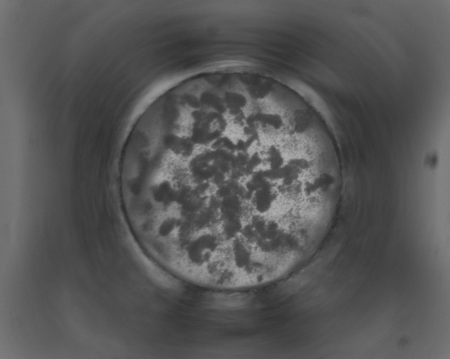 X0000092091429200710101052