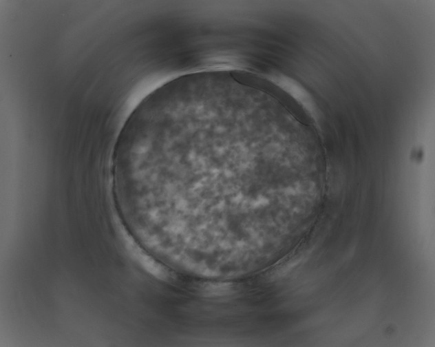 X0000092091431200710101052