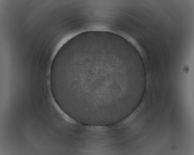 X0000092091432200710101052