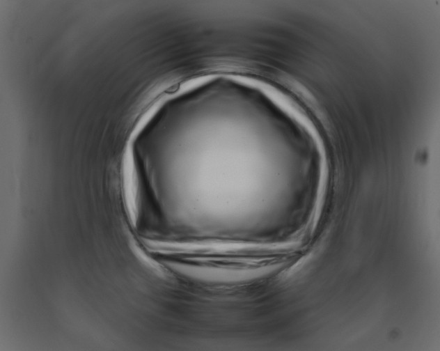 X0000092091433200710101052