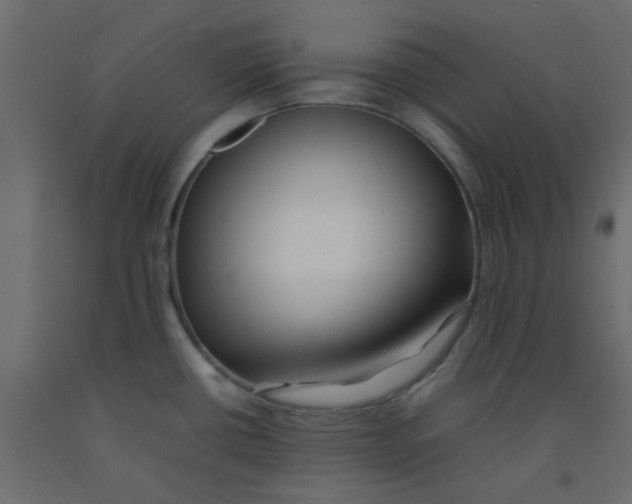 X0000092091434200710101052