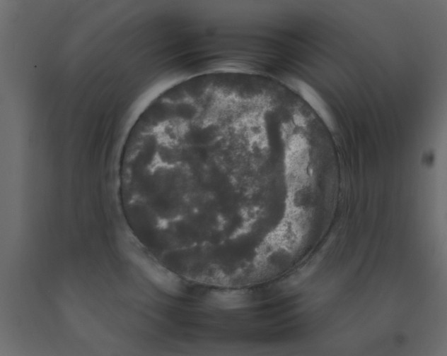 X0000092091435200710101052