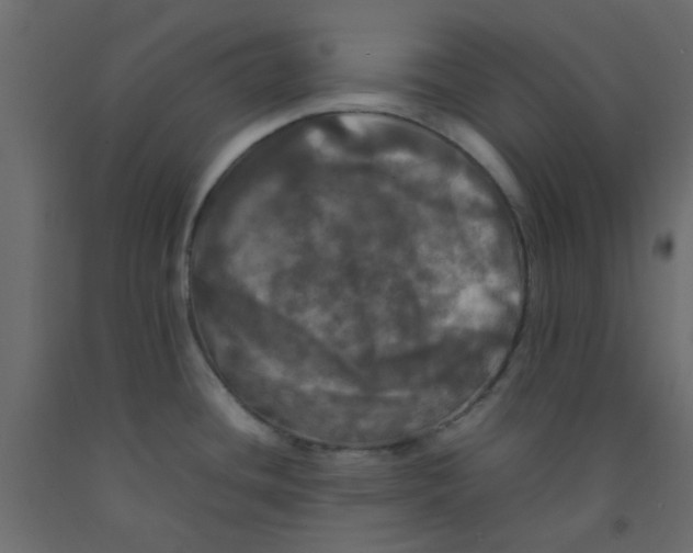 X0000092091436200710101052