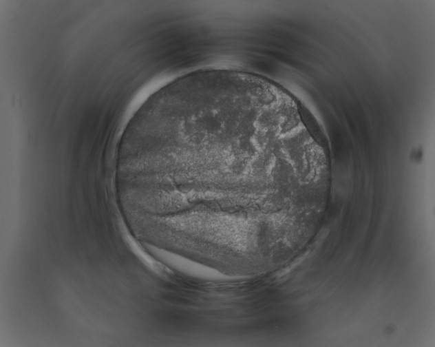 X0000092091437200710101052