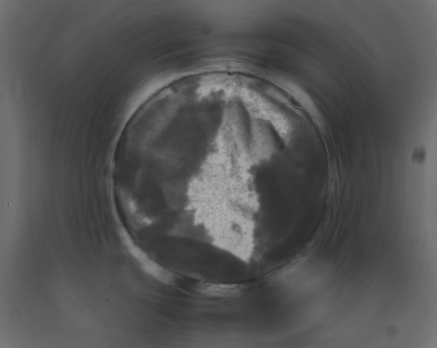 X0000092091439200710101052