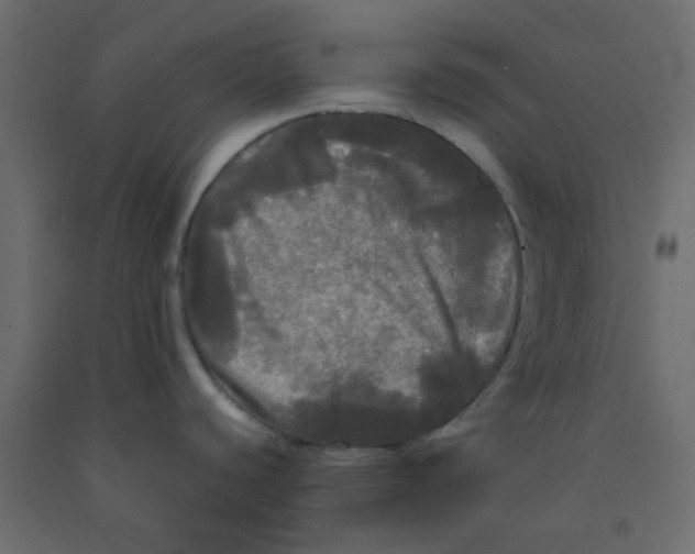 X0000092091440200710101052