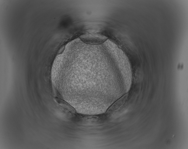 X0000092091441200710101051