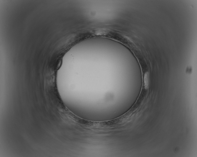 X0000092091443200710101051