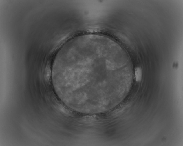 X0000092091444200710101051