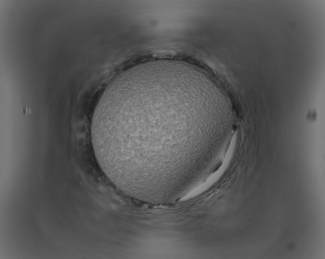 X0000092091445200710101051