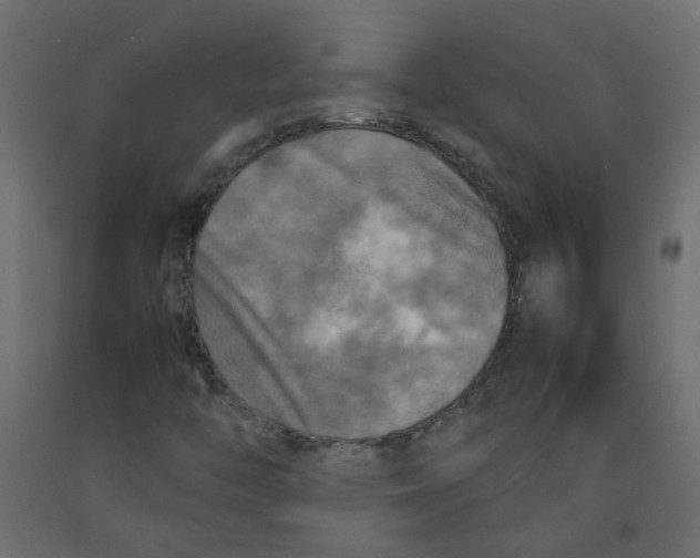 X0000092091446200710101051