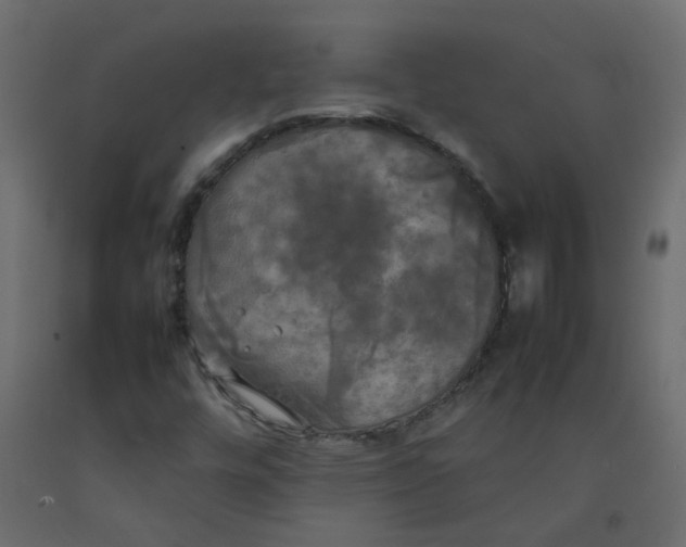 X0000092091448200710101051