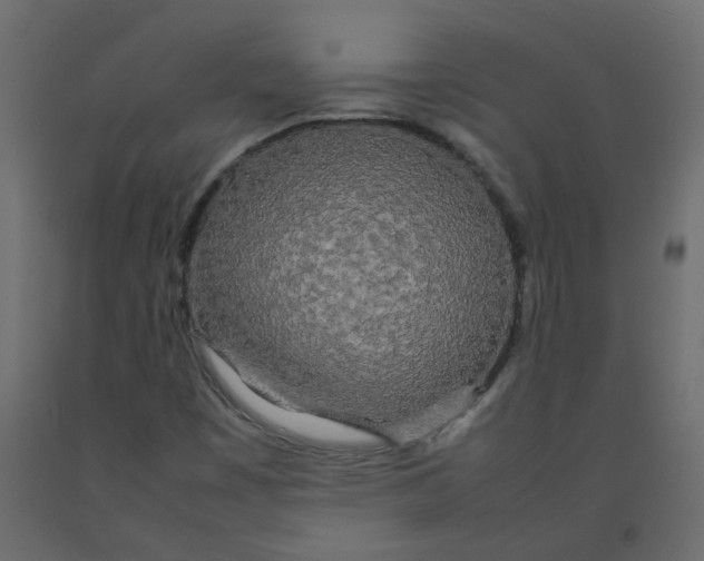 X0000092091449200710101051