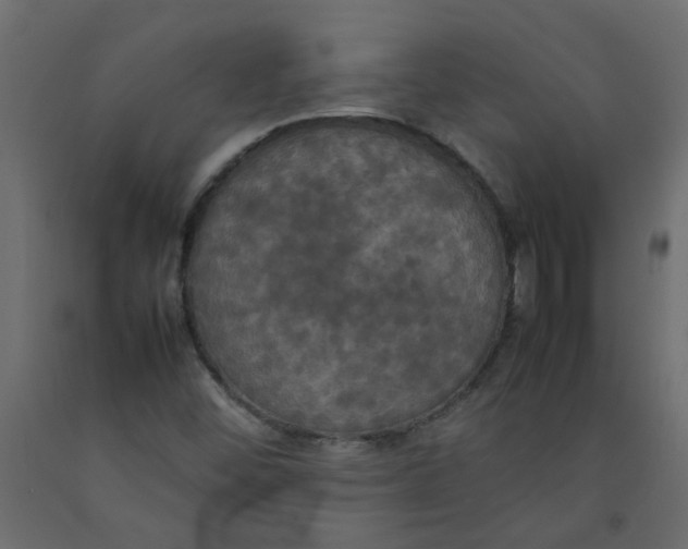 X0000092091452200710101051