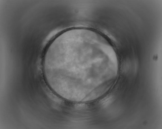 X0000092091454200710101051