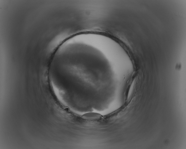 X0000092091455200710101051