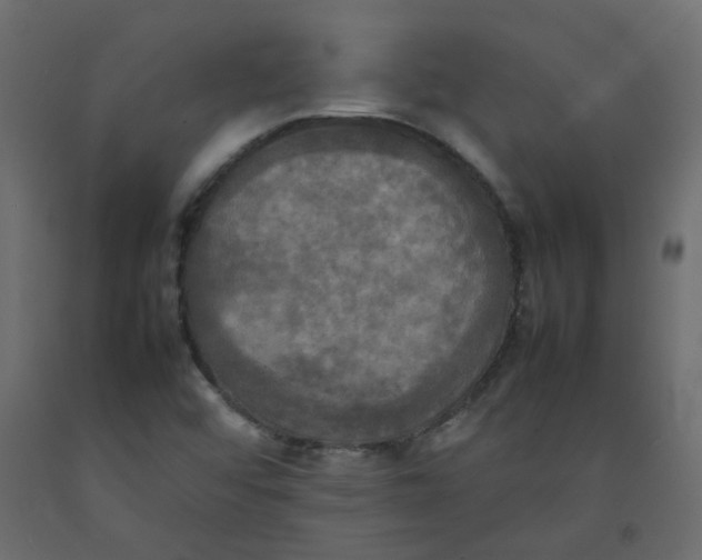 X0000092091456200710101051