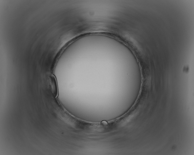 X0000092091457200710101051